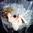 /album/studio/a562158-263670310394813-1360278060-n-jpg/